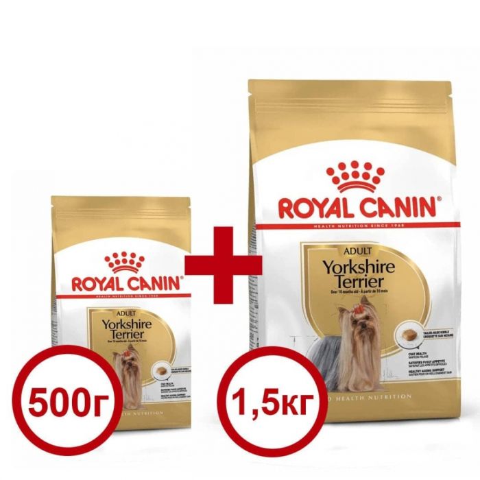 Акція сухий корм Royal Canin Yorkshire Terrier Adult 1,5 кг + 500г в подарунок 