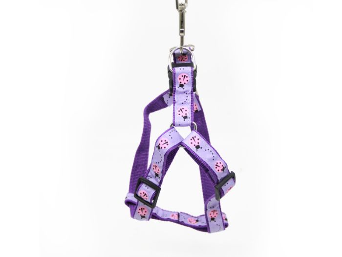 Шлея з повідцем дитячий малюнок 