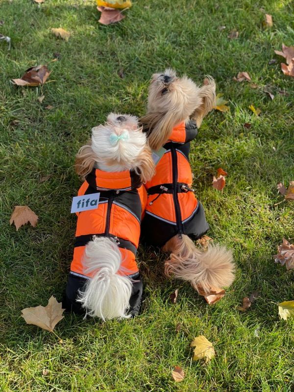 Комбінезон Рікі на силіконі (хлопчик) XS