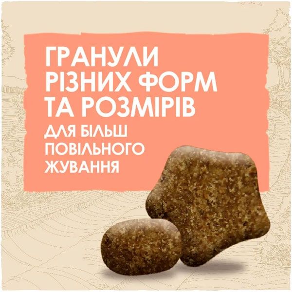 Dog Chow Sensitive Adult 1+ сухий корм для собак із чутливим травленням із лососем 14 кг