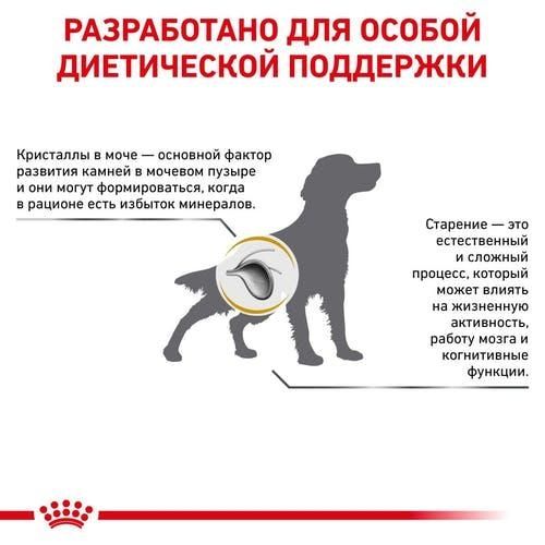 Royal Canin Urinary S  O Canine Ageing 7 + 85г вологий корм для сечовидільної системи собак старше 7 років 