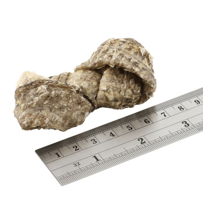 Натуральні ласощі для собак з 100% Шкіри Білої Риби Fish4Dogs Sea Jerky Рибні вузли 100 г