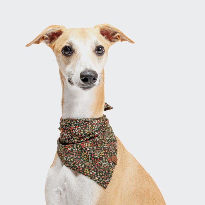 Бандана для собак Cloud7 Botanical Night Різнокольоровий L