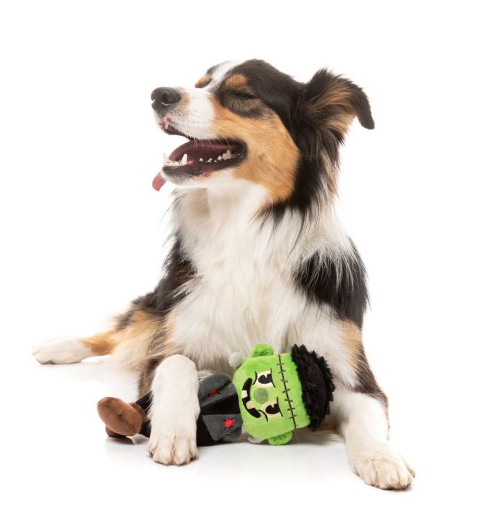 М'яка іграшка для собак FuzzYard Ігор