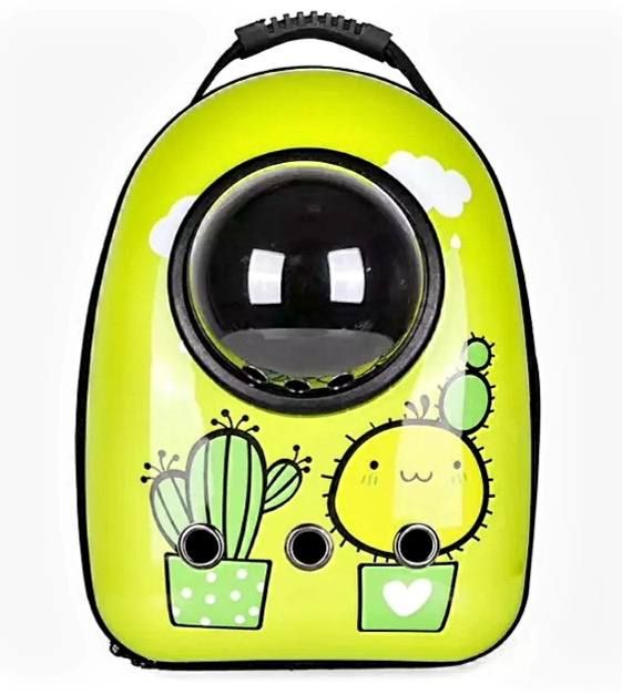 Рюкзак пластик ілюмінатор 32х42х29 см кактус