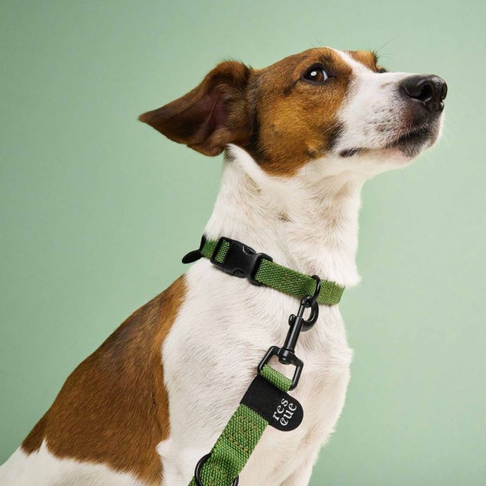 Повсякденний повідець для собак Cloud7 Rescue Basic Зелений S