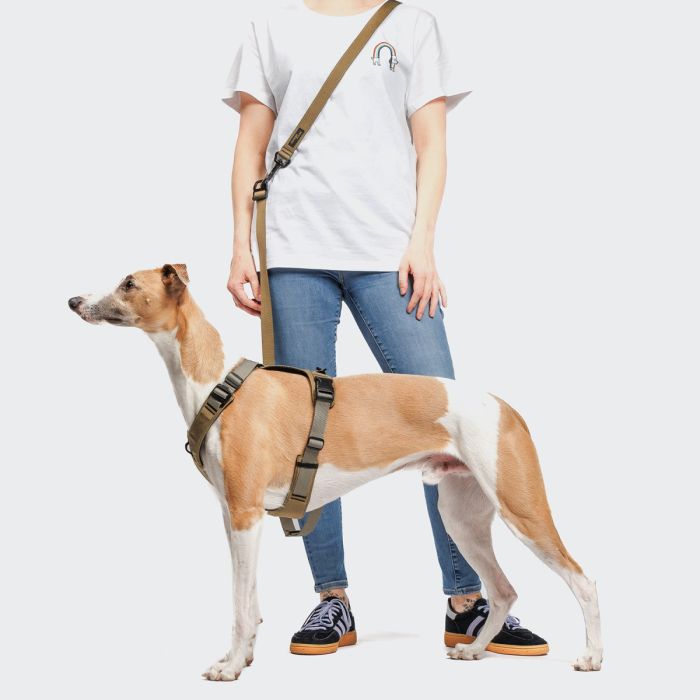 Y-подібна шлейка для собак Cloud7 Y-2 Harness AKTIV Сірий S