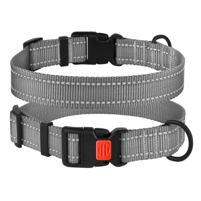 Нашийник для собак BronzeDog 25мм (43-66см) сірий пластиковий фастекс 1311 53т 