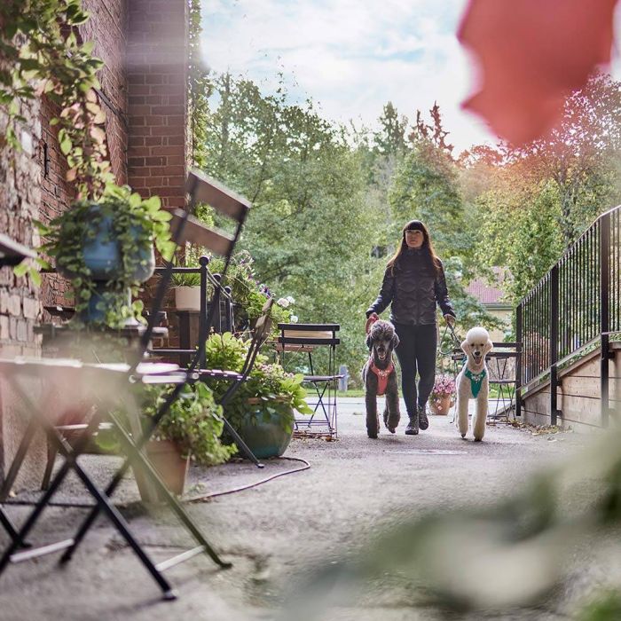 Регульований повідець для собак Hurtta ECO 120-180 см х 11 мм Бордовий