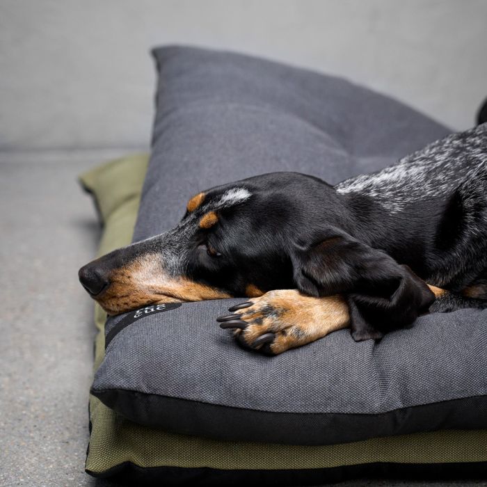 Лежак для собак Cloud7 Rescue Pillow Темно-сірий L