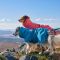 Куртка-парка для собак Hurtta Expedition Parka II Червоний 35XL