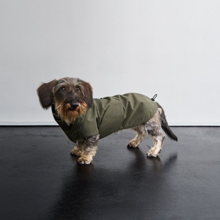 Дощовик для такс і схожих порід собак Cloud7 Dublin 2.0 Dachshund Оливковий 6