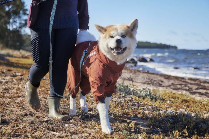 Дощовик комбінезон для собак Hurtta Mudventure Overall ECO 35M Помаранчевий