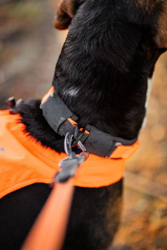 Нашийник для собак Protector Non-stop dogwear Помаранчевий 32