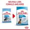 Royal Canin Maxi Puppy сухий корм для цуценят великих порід з 2 до 15 місяців 15 кг