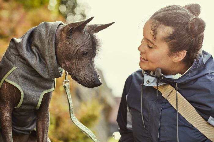 Флісова куртка для собак Hurtta Razzle-Dazzle Midlayer 40 Сірий