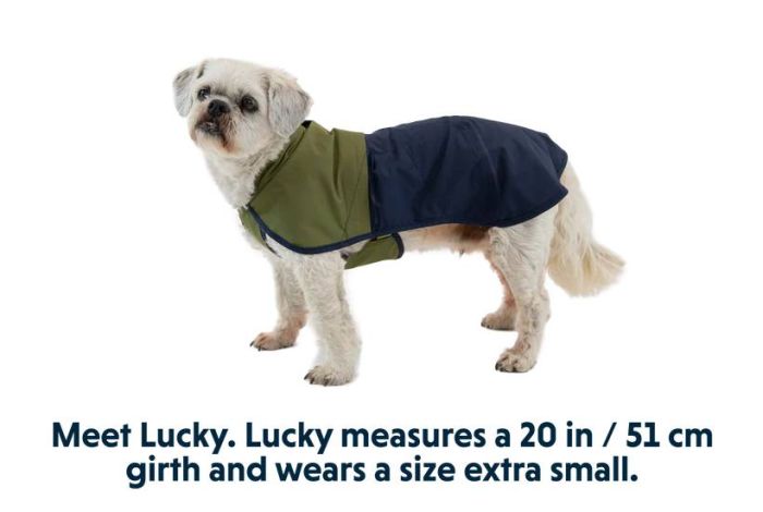 Дощовик для собак Ruffwear Sun Shower™ M Синьо-оливковий