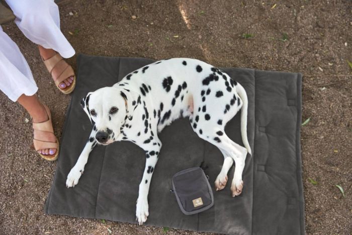 Складаний килим для собак Palopa Alma Сірий S