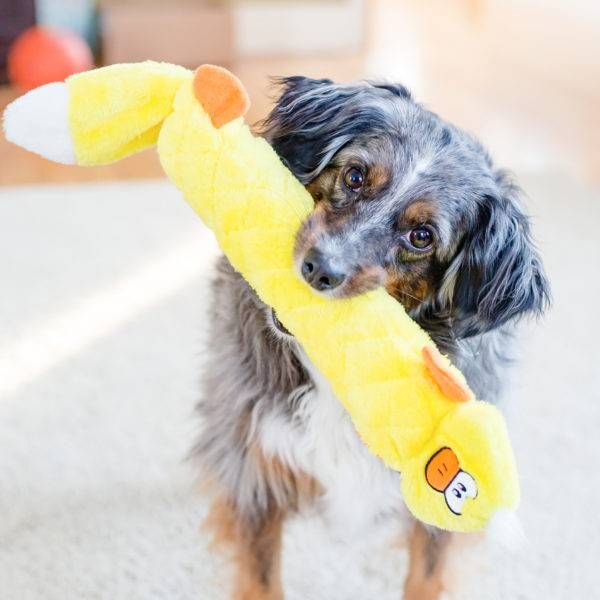 М'яка іграшка для собак качка ZippyPaws Jigglerz Duck з пищалкою