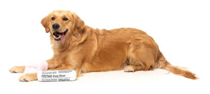 Набір м'яких іграшок для собак FuzzYard Несіть тапки та пресу!