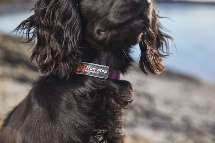 Нашийник для собак Tumble Non-stop dogwear Фіолетовий XS