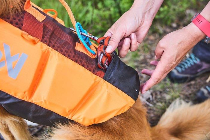 Рятувальний жилет для собак Protector life jacket Non-stop dogwear Чорний/Помаранчевий 6