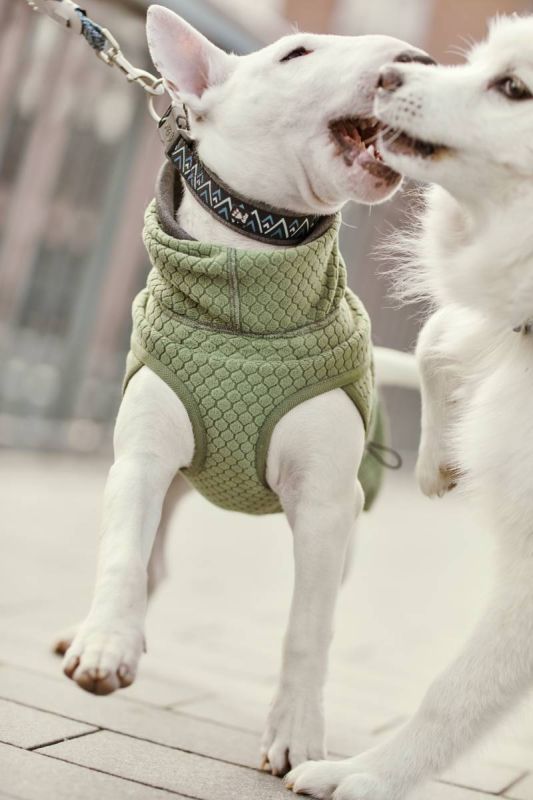 Флісова куртка для собак Hurtta Razzle-Dazzle Midlayer 30 Сірий