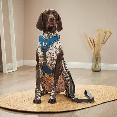 Шлейка для собак пом'якшена з ручкою Wolters Active Pro Comfort 3 50-57,5 см Синій