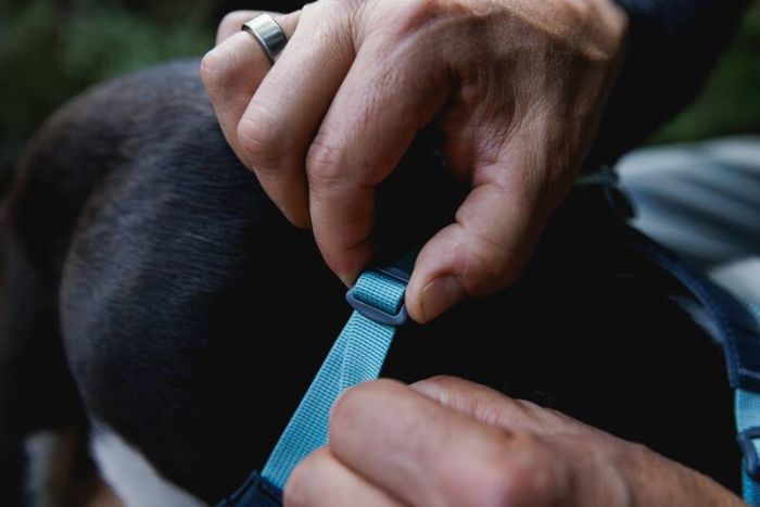 Полегшена шлейка для собак Ruffwear Hi & Light™ S 56-69 см Сірий