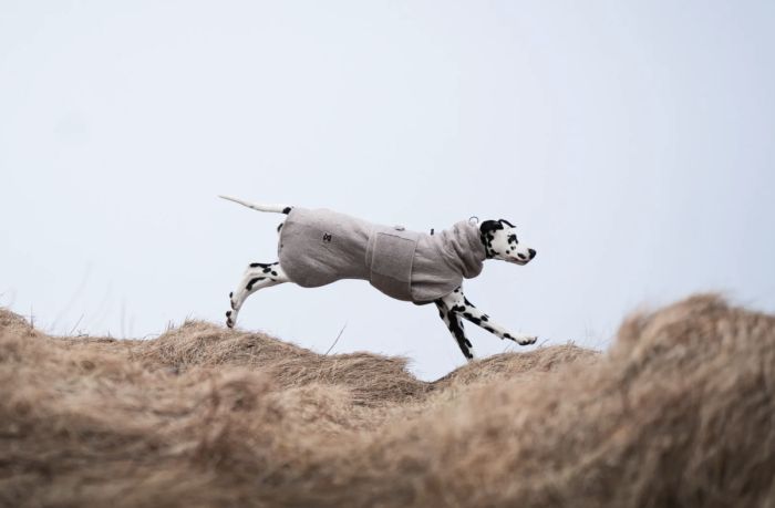 Халат-рушник для собак Drying coat Non-stop dogwear Сірий 40