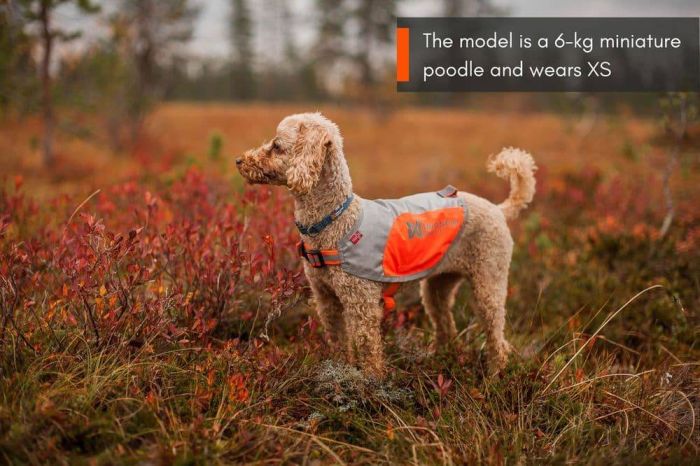 Світловідбивна попона Reflection blanket Non-stop dogwear Помаранчевий XS