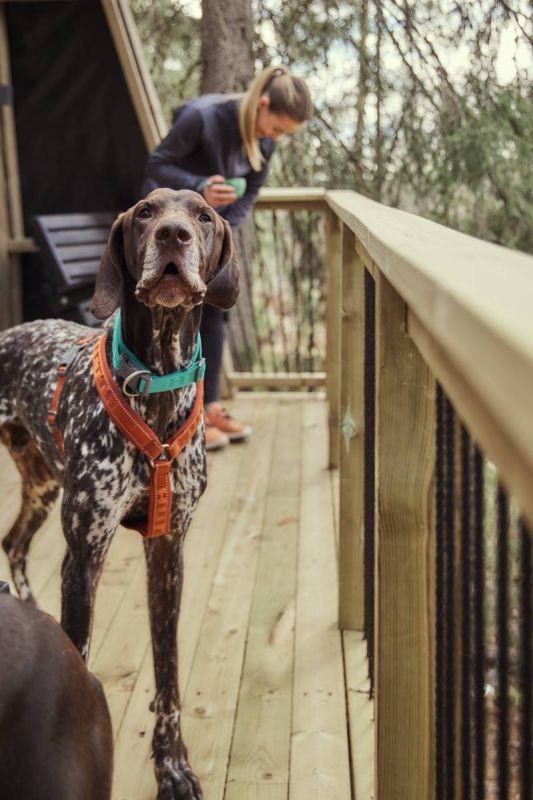 Анатомічна шлейка для собак Hurtta Casual Y-harness 70-80 Коричневий