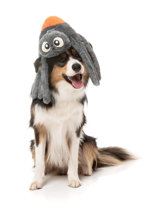 М'яка іграшка для собак FuzzYard Паук Арахнат