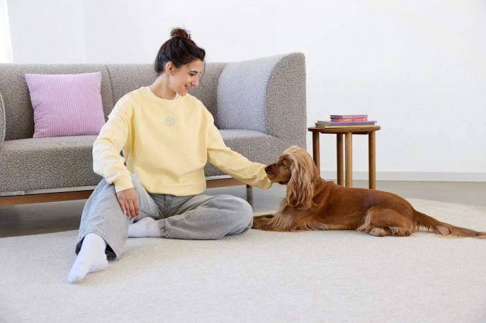 Світшот для власників собак Palopa Жовтий S