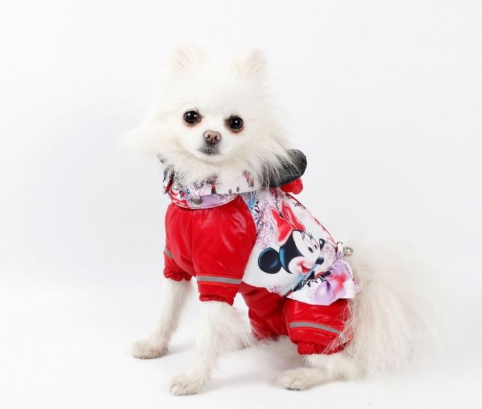 Комбінезон Мультяшка на силіконі (дівчинка) S2