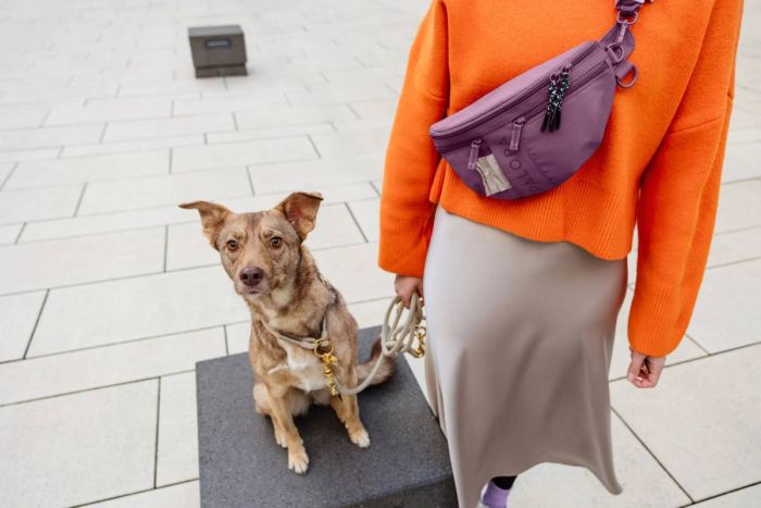Поясна сумка-бананка для ласощів та аксесуарів собак Palopa Emma Ягідний