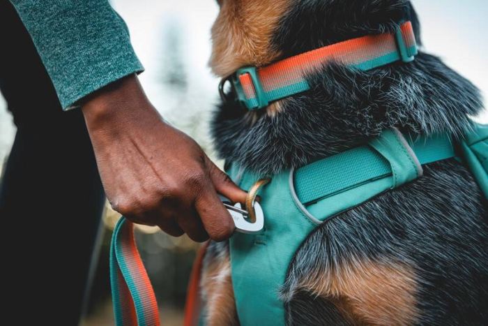 Шлейка-рюкзак для собак Ruffwear Front Range™ S Зелений