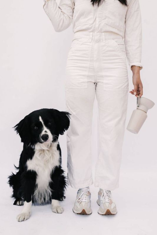 Пляшка-поїлка для собак Springland Бежевий 590 мл