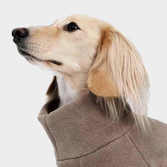 Светр для такс і схожих порід собак Cloud7 Cornwall Dachshund Коричневий 5