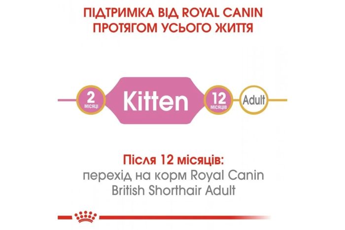 АКЦІЯ Royal Canin British Shorthair Kitten сухий корм для британських короткошерстих кошенят 8+2 кг 