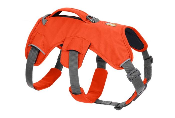 Підтримуюча шлейка для службових собак Ruffwear Web Master™ S 56-69 см Помаранчевий