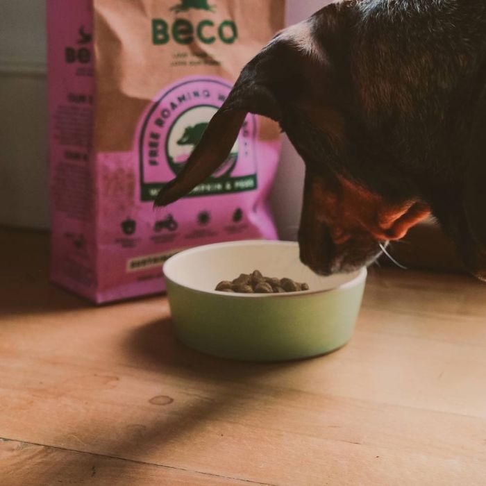 Бамбукова миска для собак Beco Pets Зелений S