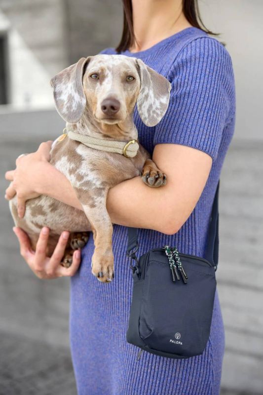 Сумка для ласощів і аксесуарів собак Palopa Greta L Темно-синій