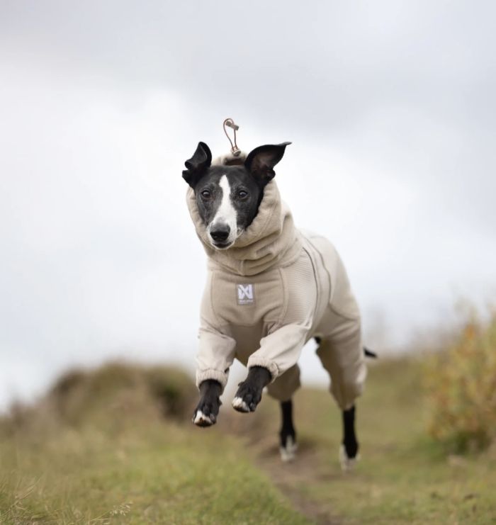 Комбінезон для собак Non-stop dogwear Trail quest fleece overall Бежевий 40