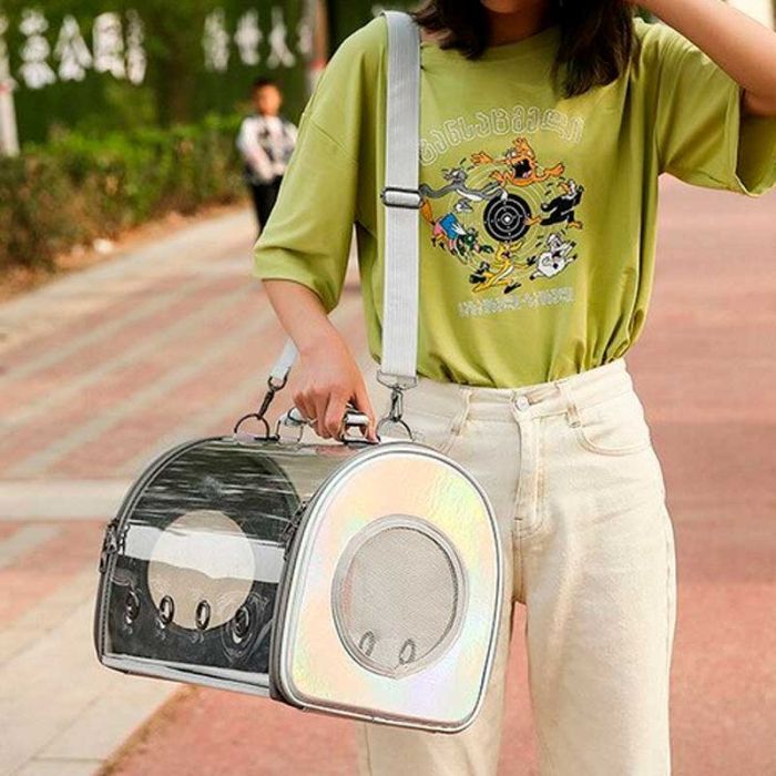 Сумка для тварин прозора 42х28х22 см срібло 