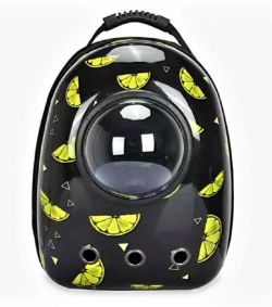 Рюкзак пластик ілюмінатор 32х42х29 см лимон