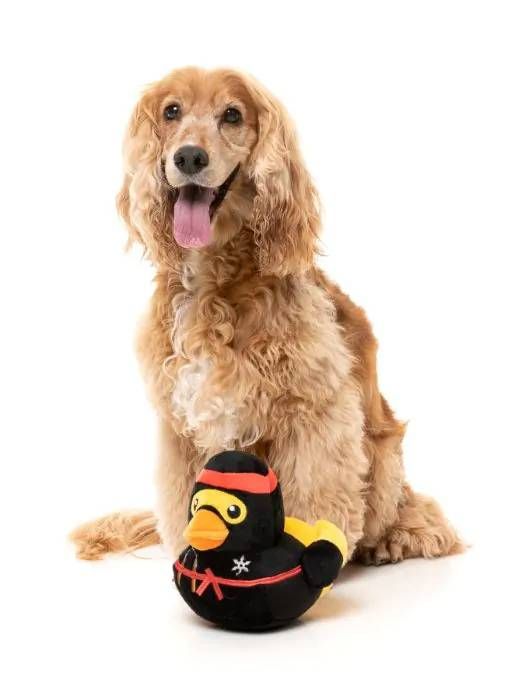 М'яка іграшка для собак FuzzYard Качка-ніндзя