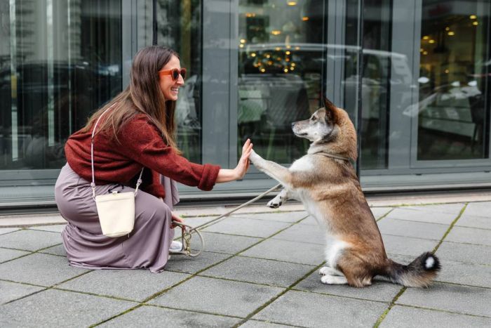 Сумка для ласощів і аксесуарів собак Palopa Karl M Кремовий
