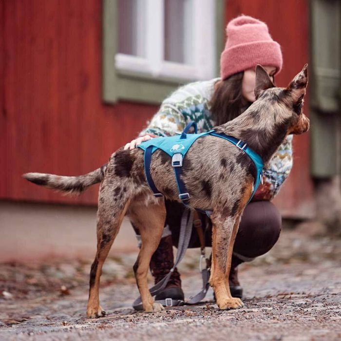 Шлейка для собак Hurtta Safeguard Harness ECO Синій 55-70