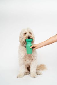 Пляшка-поїлка для собак Springland Зелений 590 мл